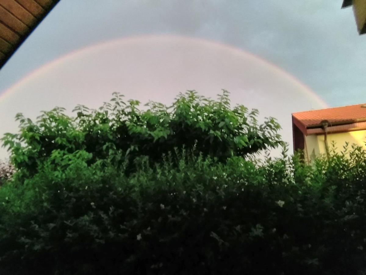 Prague Sweet Home — Photos 2